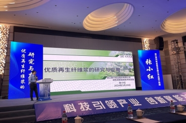 Z6官网纸业高技术人才张幼红在第一届浙江。危┲交伦柿喜荡葱路⒄勾蠡嶙鞣窒
