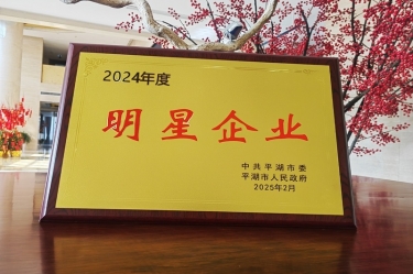 新春新景新形象 | Z6官网纸业在平湖三干大会上喜摘荣誉！